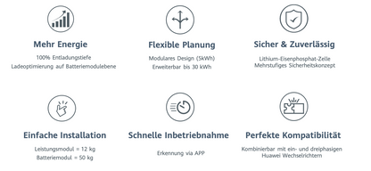 Huawei memory module LUNA2000-5 E0 